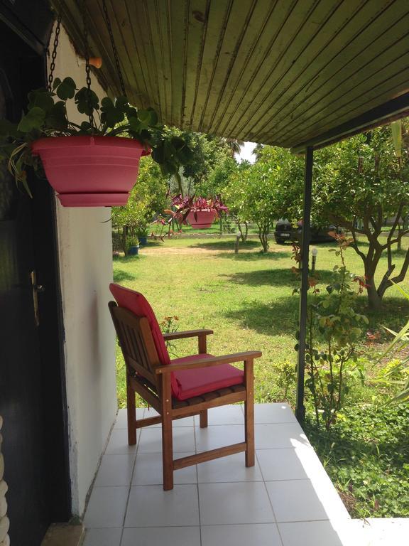 Homestay Friends Pension&camping Cirali