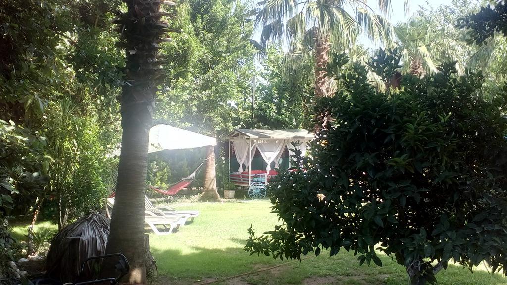 Guest house Mila