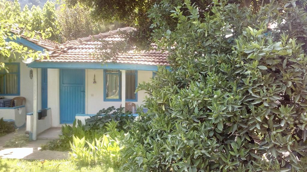 Guest house Mila 3*