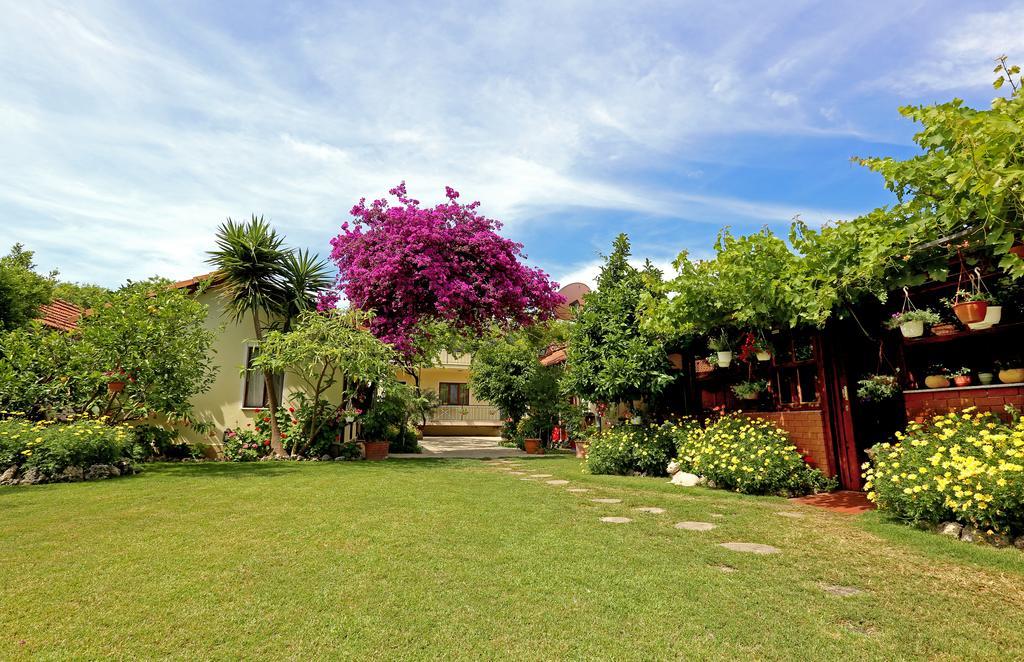 Guest house Midas