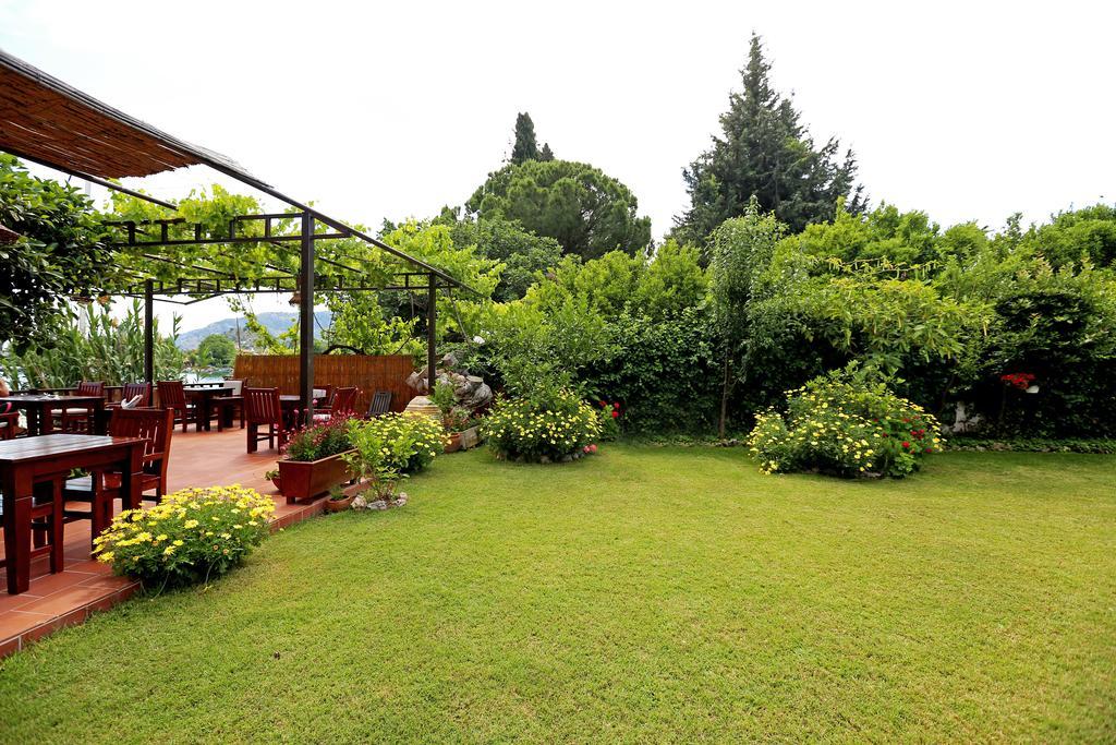 Midas Dalyan