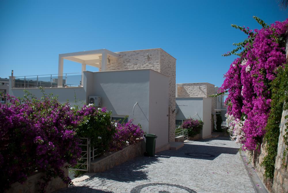 Villa Uygun Oasis Club