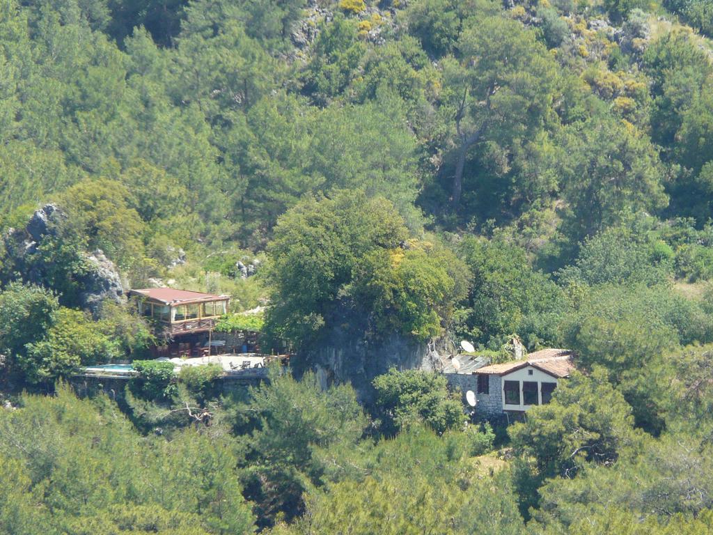 Guest house Villa Gokbel