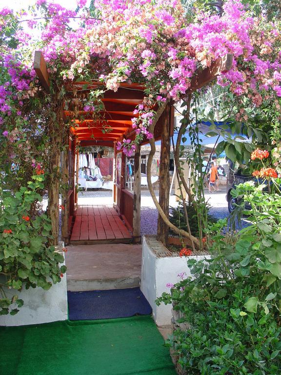 Homestay Onur