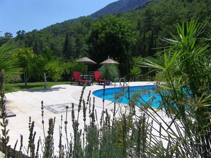 Portalimo - Adult Only +12 Cirali