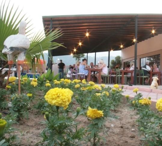 Hotel Ares Kemer
