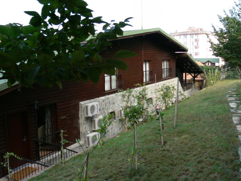 Dolunay Fanizan
