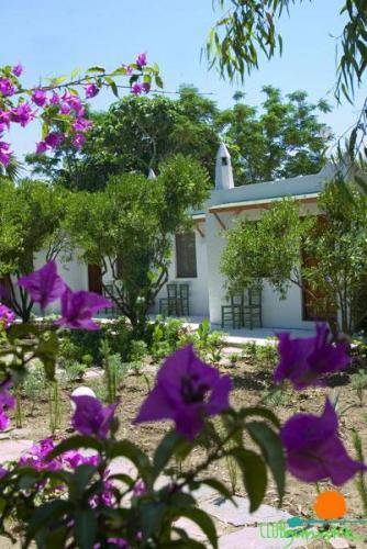 Hotel Hotel Gumusluk 3*