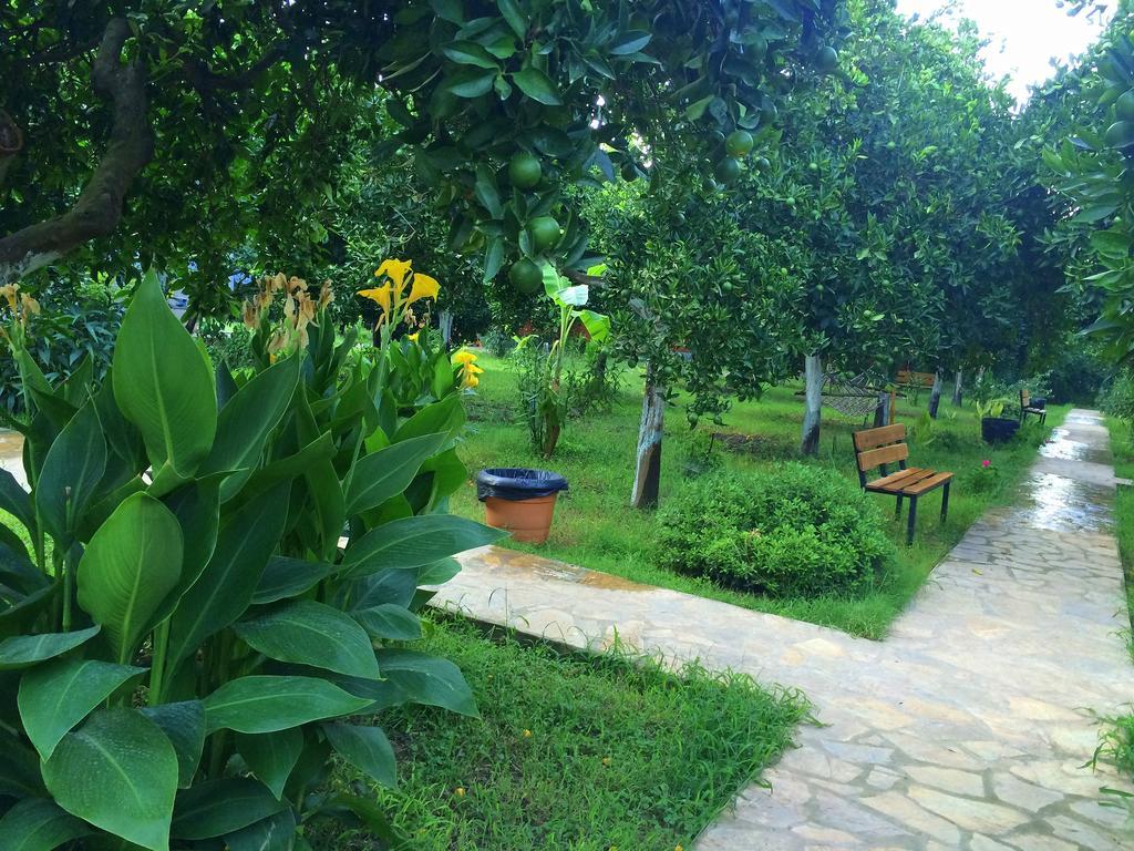 Bed & Breakfast Safir *