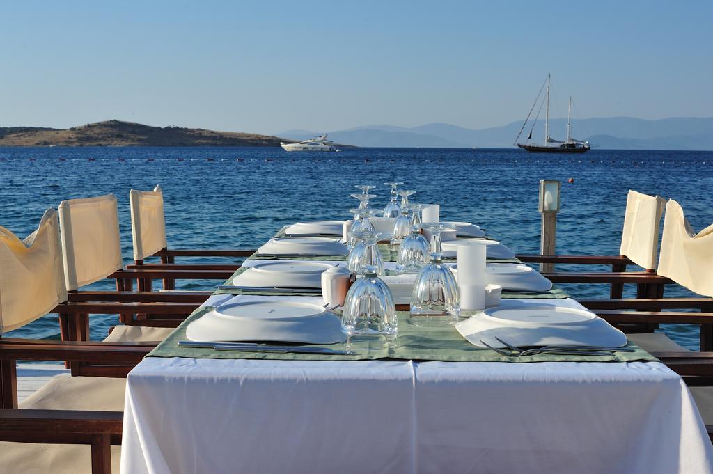 Golkoy