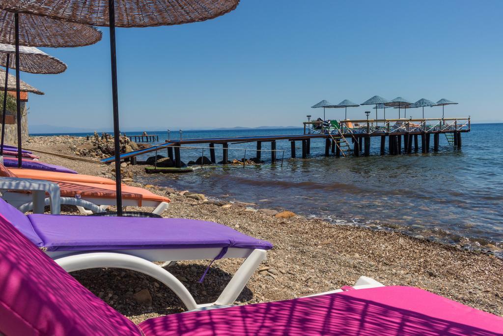 Assos Oleas