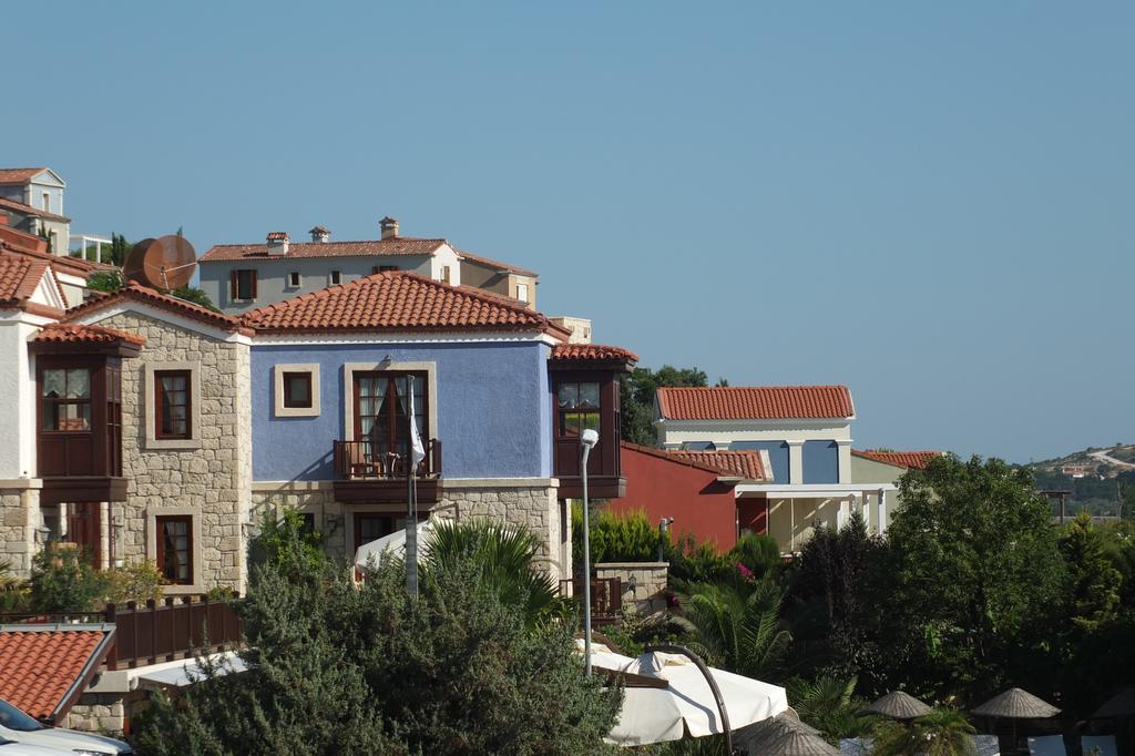 Lapis Port Surf