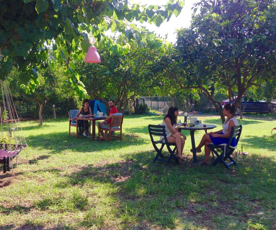 Friends Pension&camping