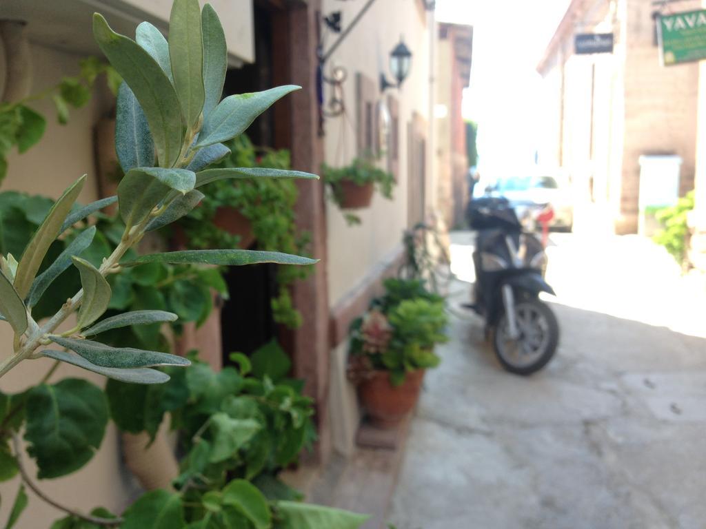 Kidalyo - Special Category Ayvalik