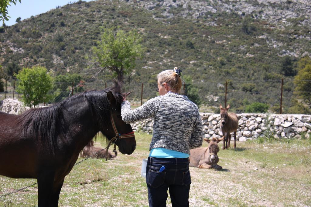 Country house Blacktree Farm And Cottages Fethiye