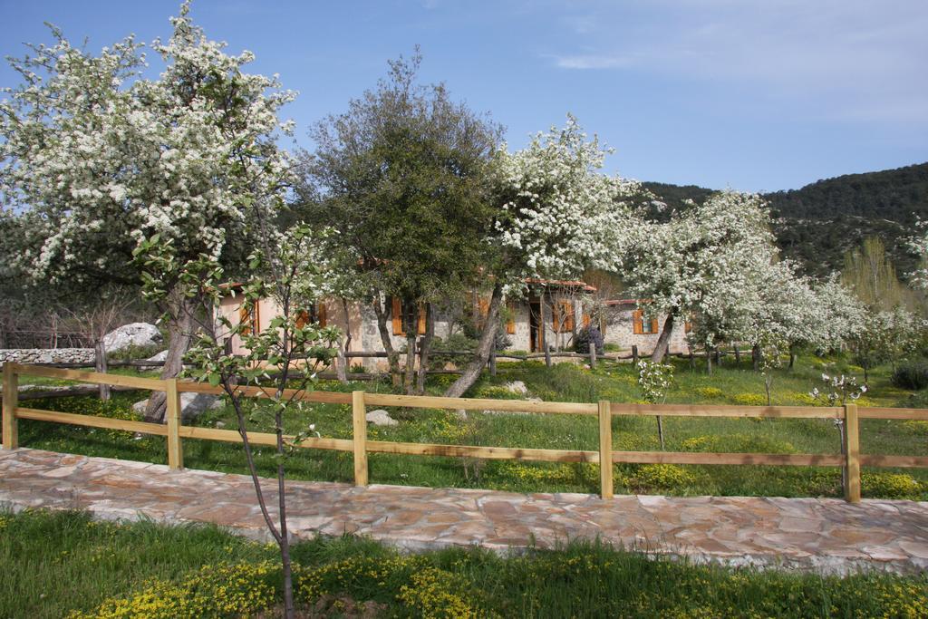 Blacktree Farm And Cottages