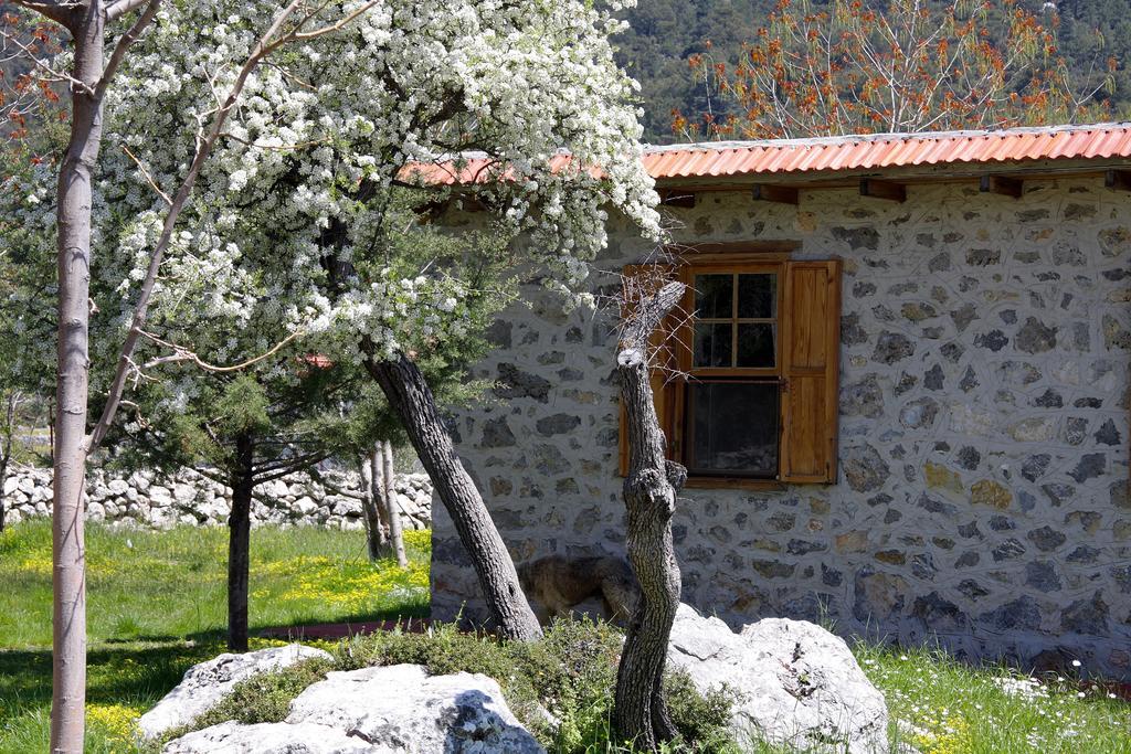 Blacktree Farm And Cottages Fethiye