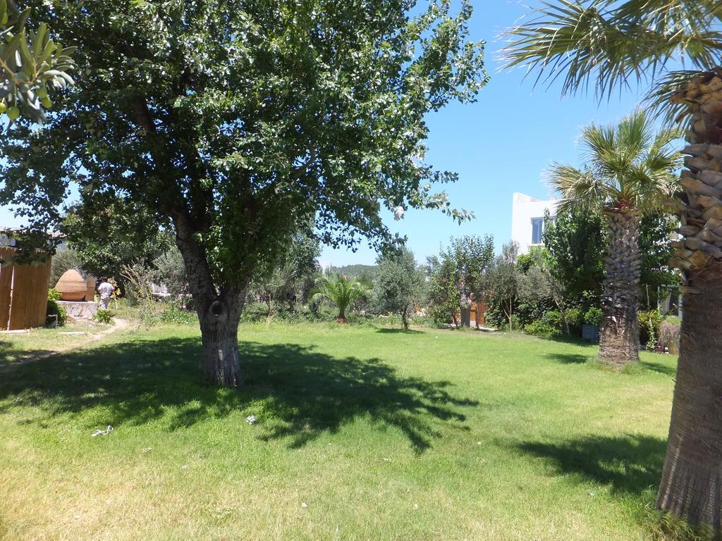Aytas Ayvalik