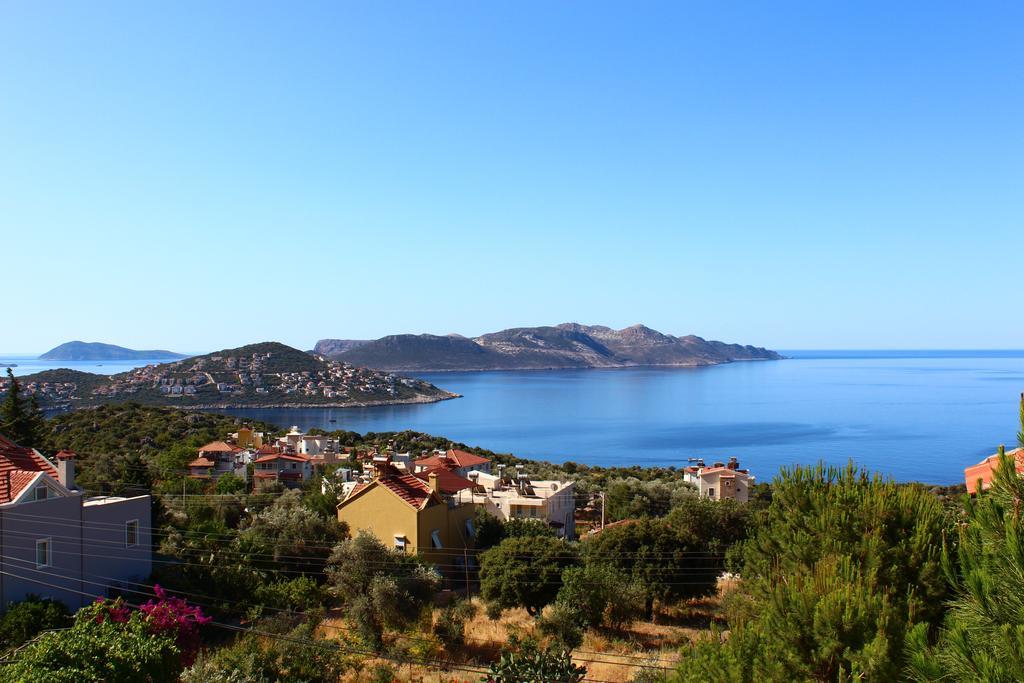 Guest house Koknar