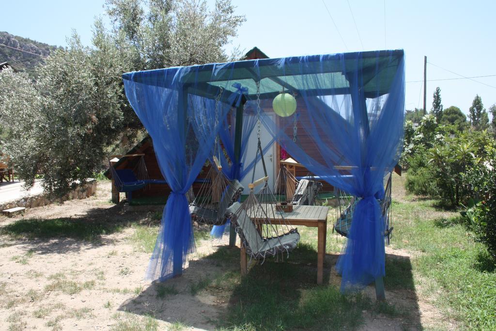 Datcanka Ahsap & Kutuk Evler