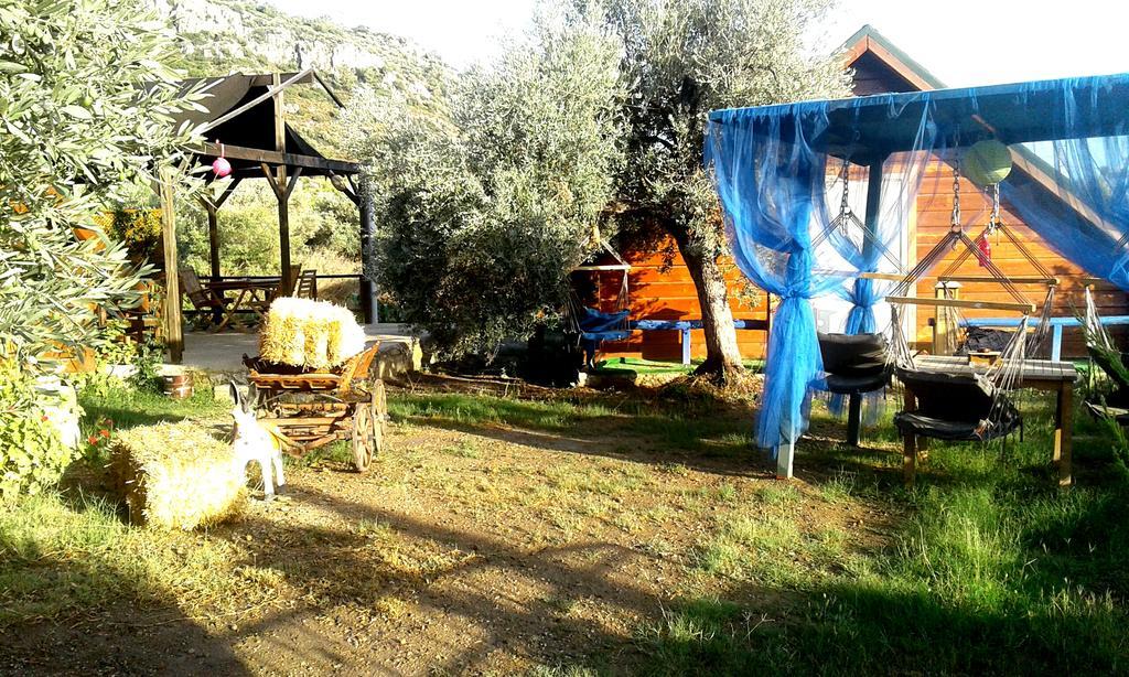 Datcanka Ahsap & Kutuk Evler
