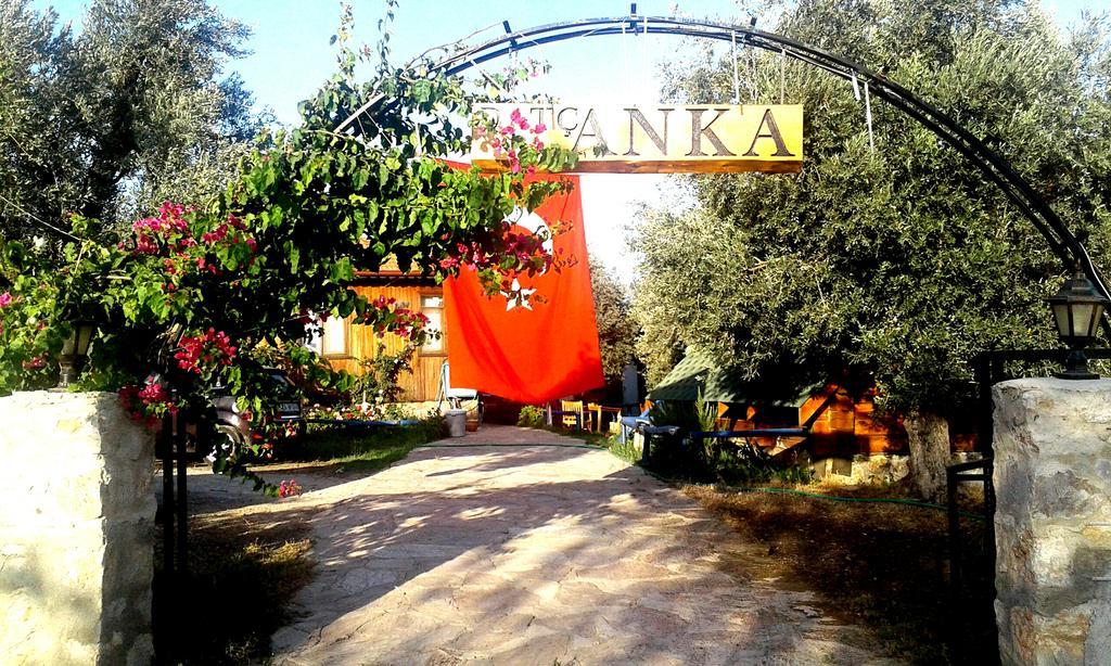 Guest house Datcanka Ahsap & Kutuk Evler