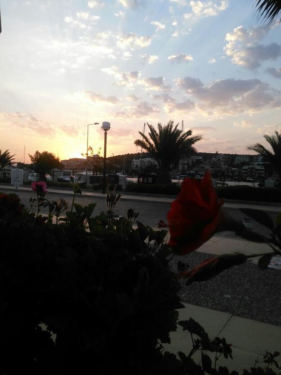 Marina Pansiyon&cafe