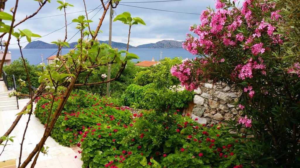 Homestay Yuksel Sogut (Aegean)