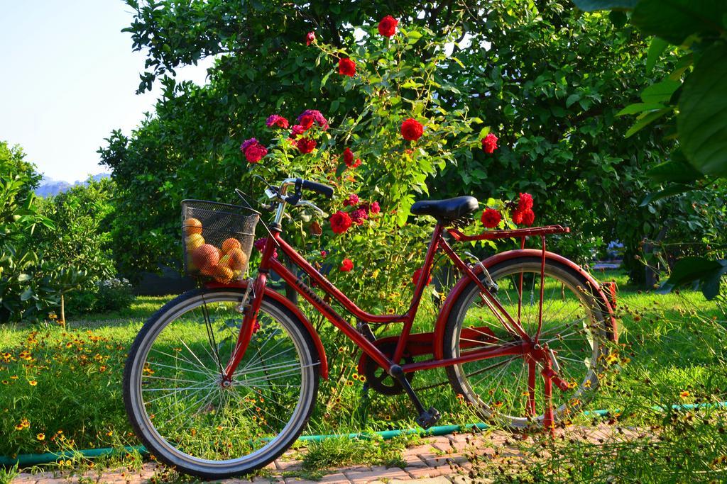 Lemon Garden Cirali
