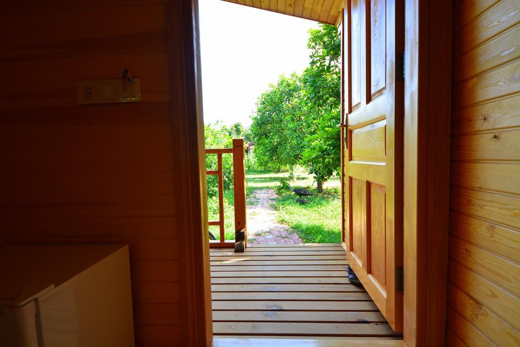 Bed & Breakfast Lemon Garden 2*