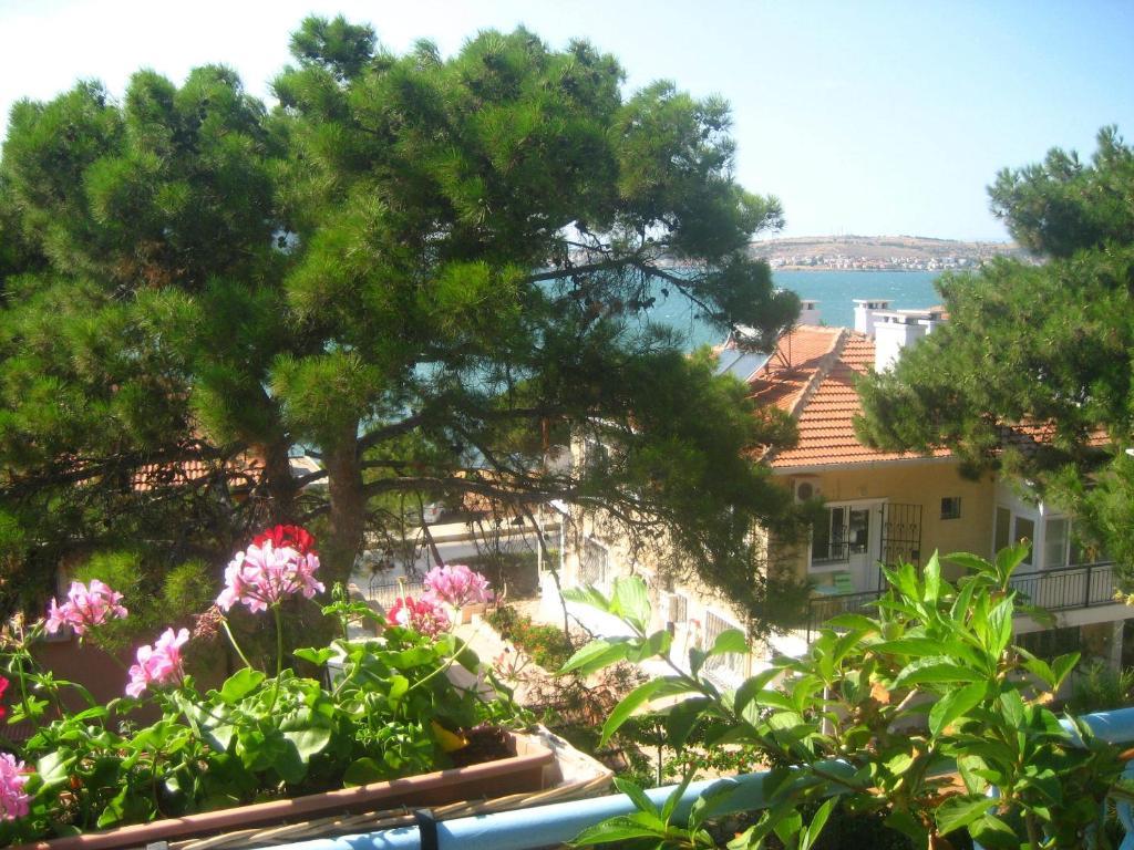 Guest house Mavi Pension