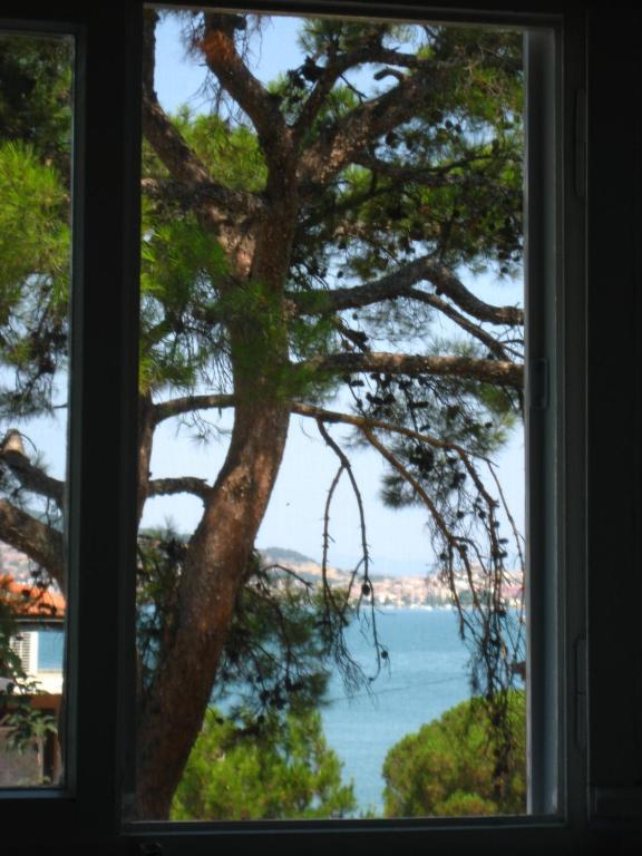 Mavi Pension Guest house Ayvalik