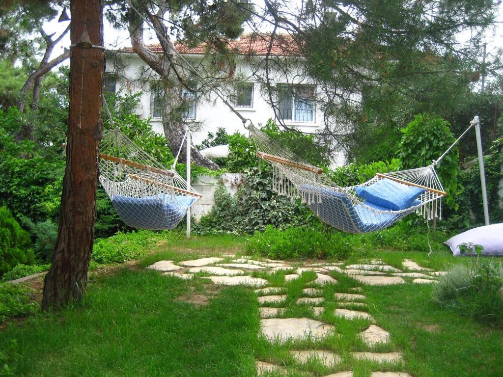 Mavi Pension *