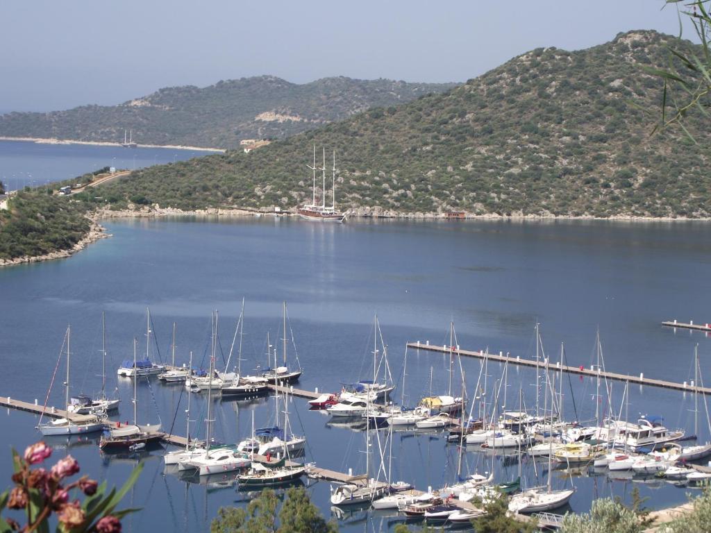 Miramar Guest house 4*