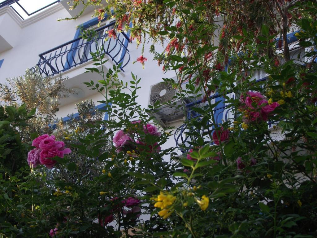 Miramar Guest house 4*