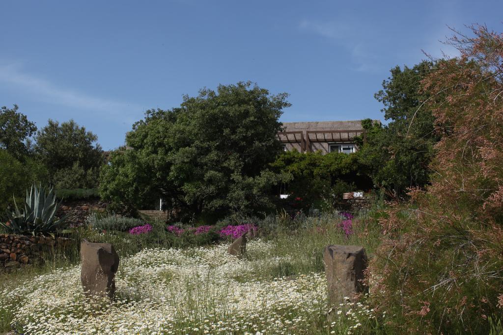 Bed & Breakfast Terra Zoe