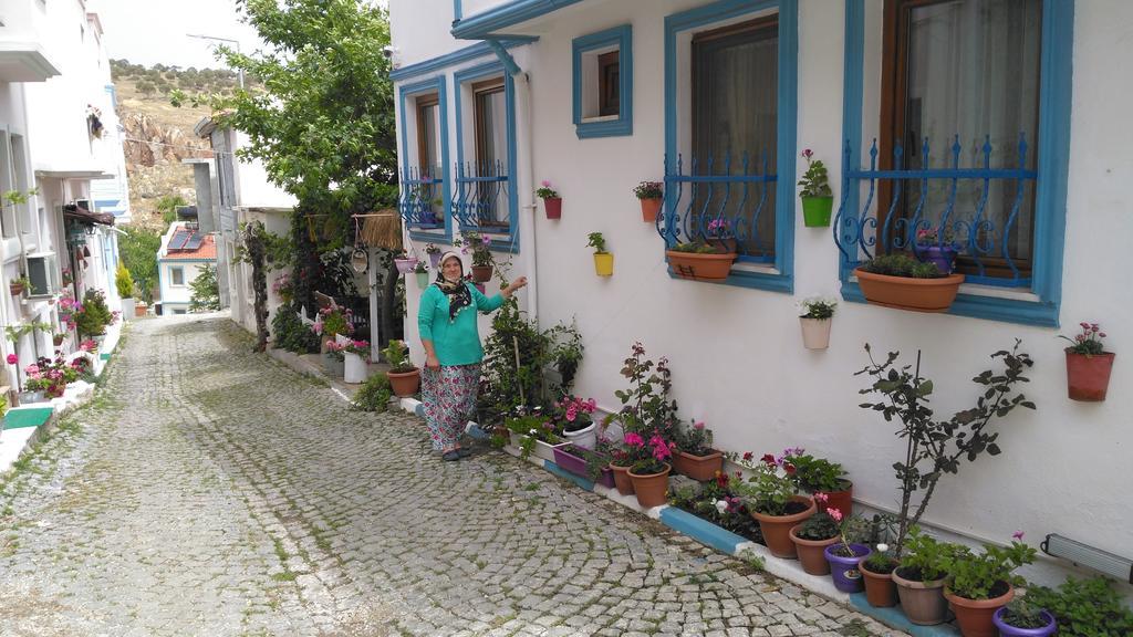 Guest house Adali