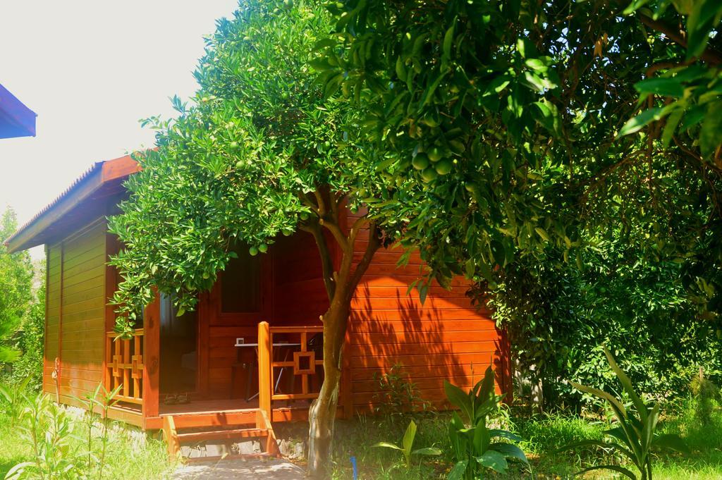 Bed & Breakfast Safir *