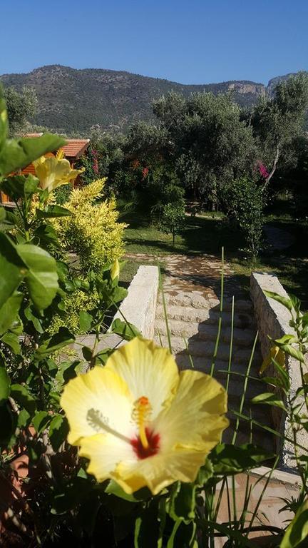 Hotel Mihricem