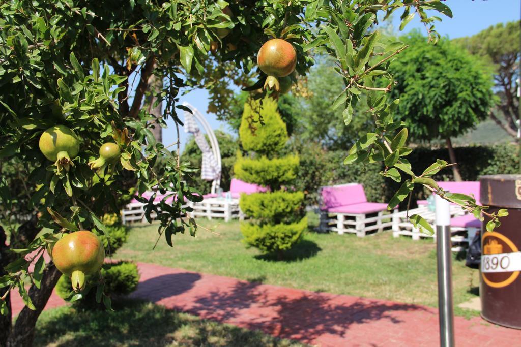 Aloria Garden