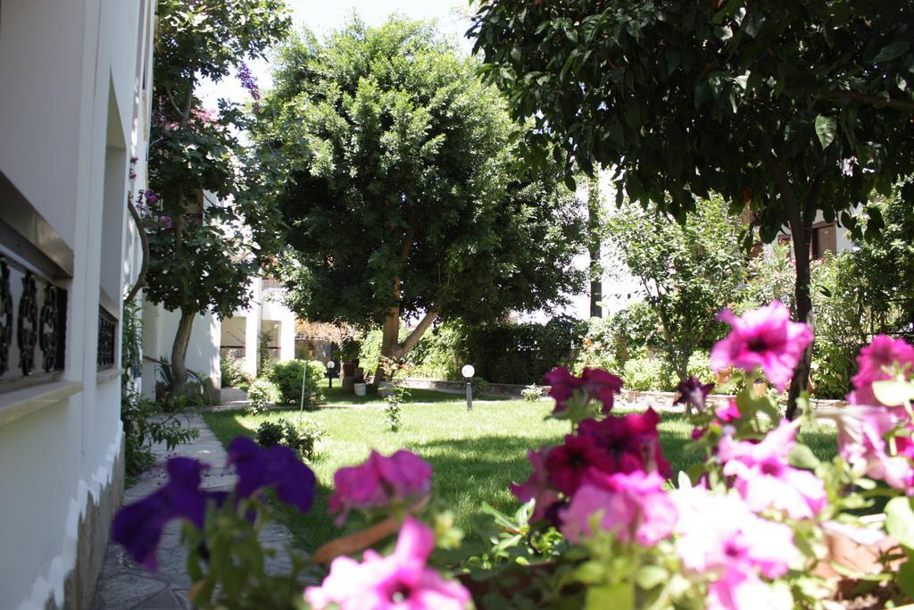Hotel Toloman