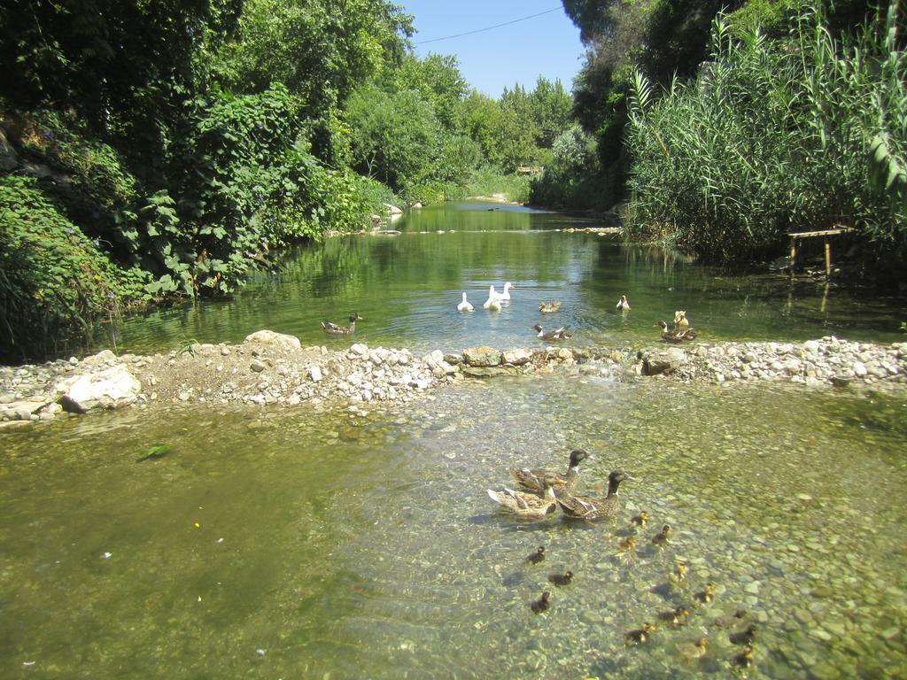 Arikanda River Garden Adrasan