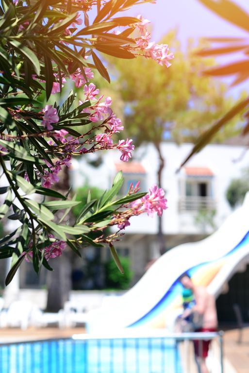 Hotel Delfi & Wellness Center