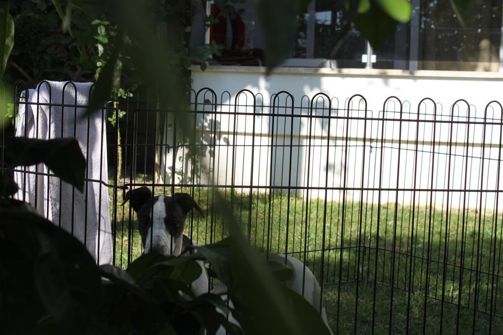 Hotel Aloria Garden Erdek