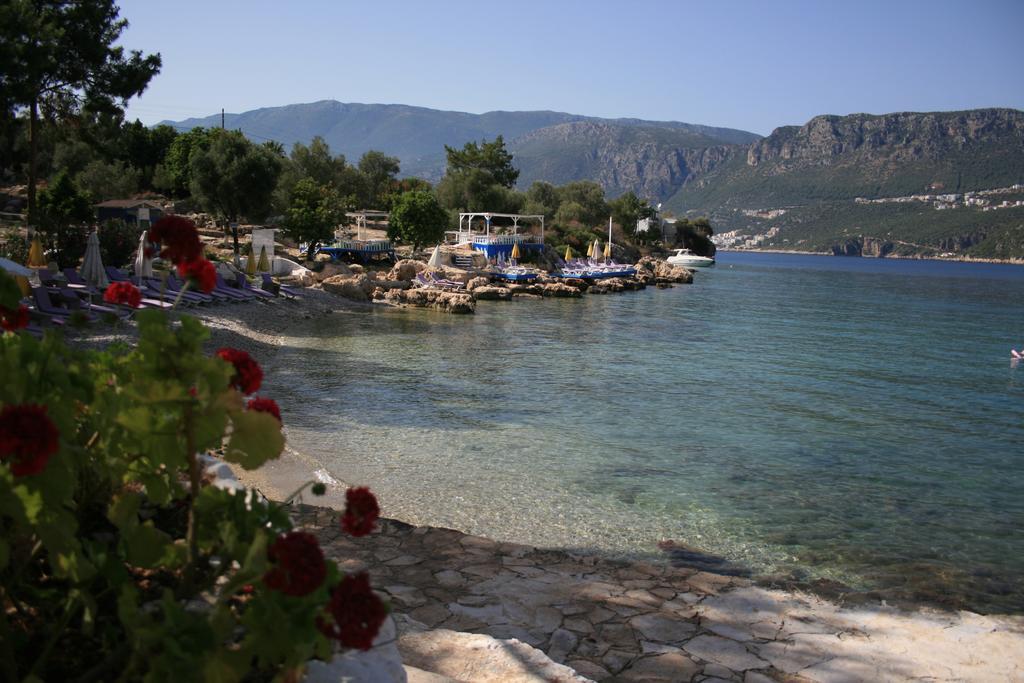 Bed & Breakfast Delos Kas