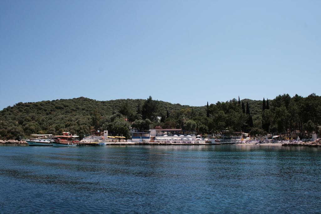 Bed & Breakfast Delos *