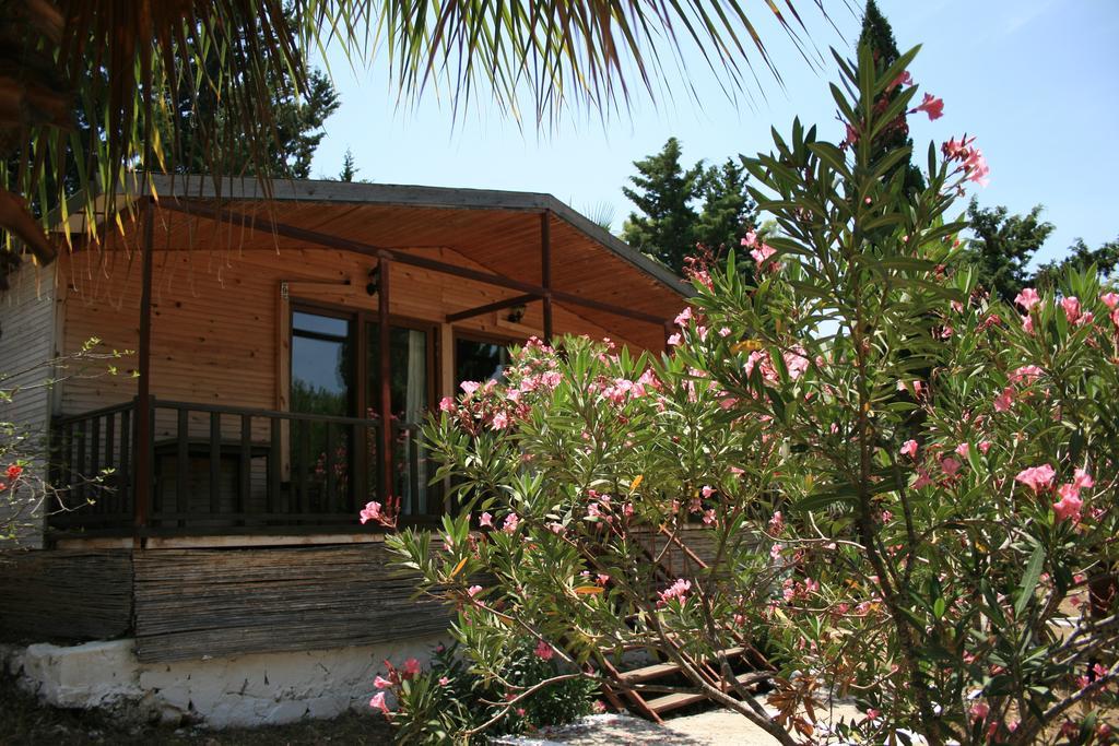 Bed & Breakfast Delos Kas