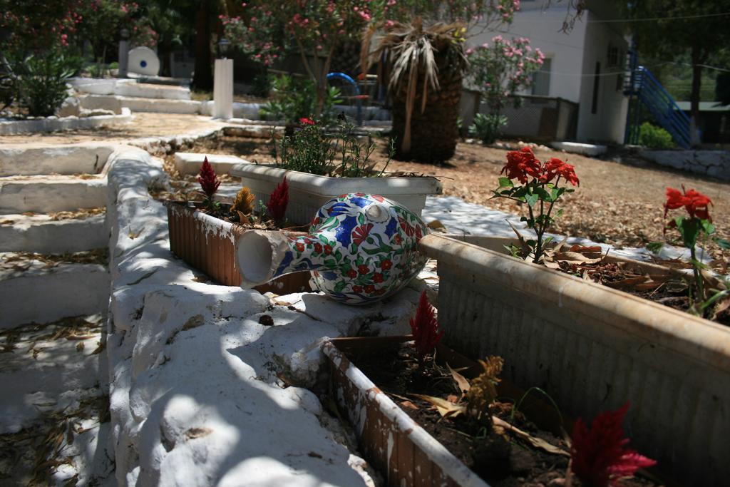 Bed & Breakfast Delos *