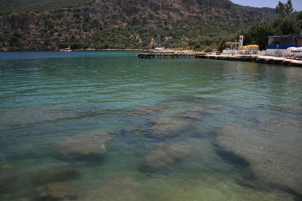 Bed & Breakfast Delos *