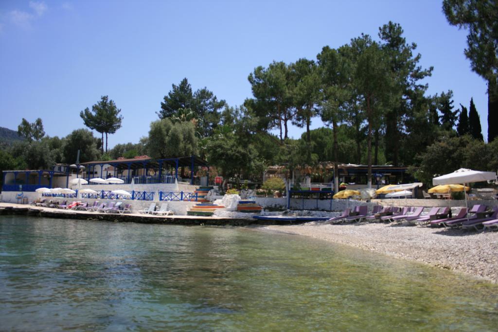 Delos Kas